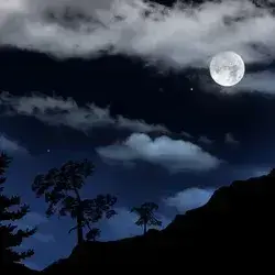 PointyHyena3759의 Halloween Night