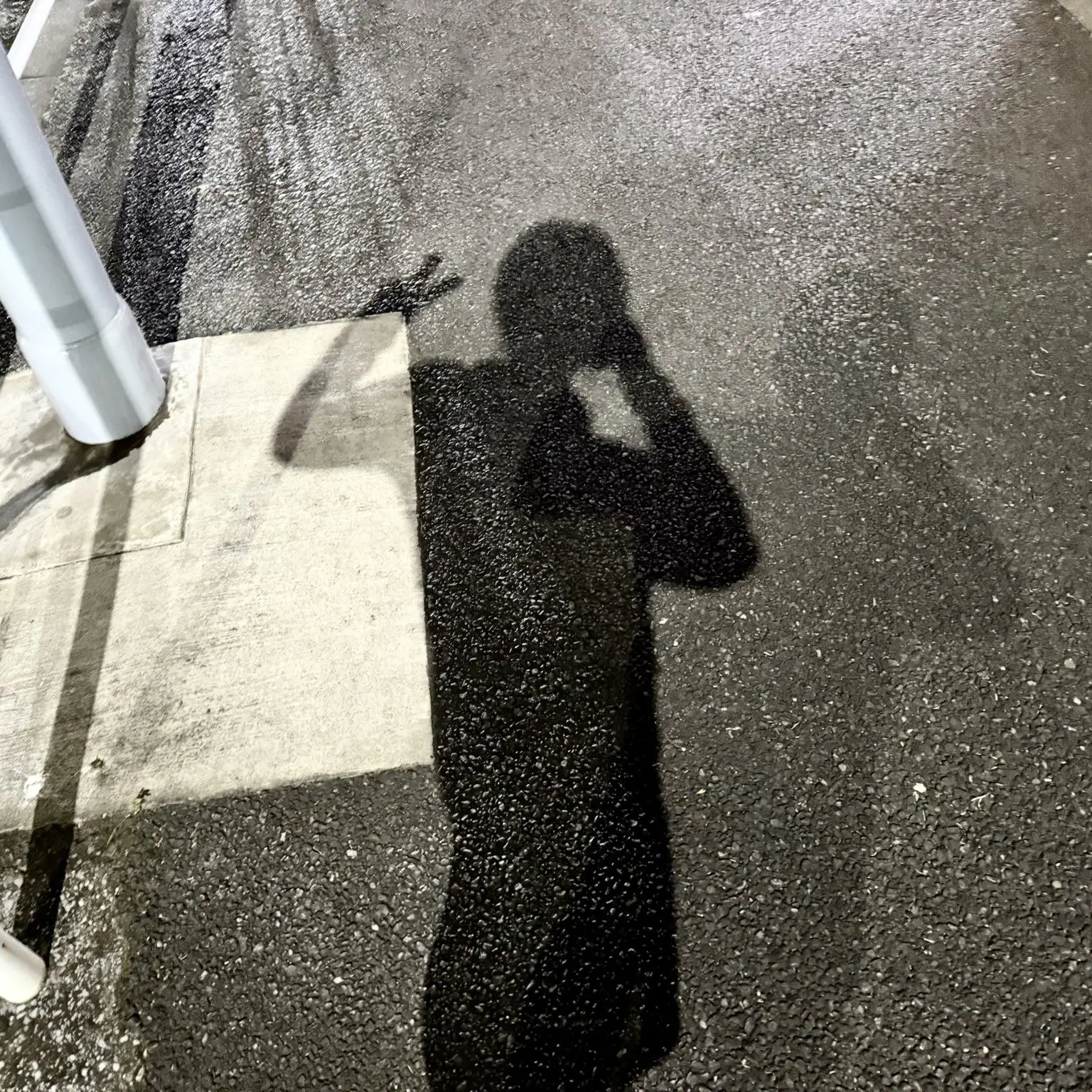 UntidyBanjo831의 不仲に挟まれる私‪‪‬꒷꒦