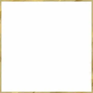 Profile image of ファン
