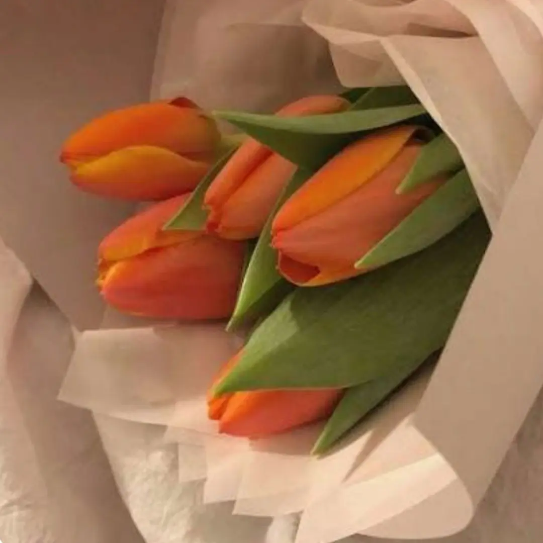 Eugyagya5018의 박덕개