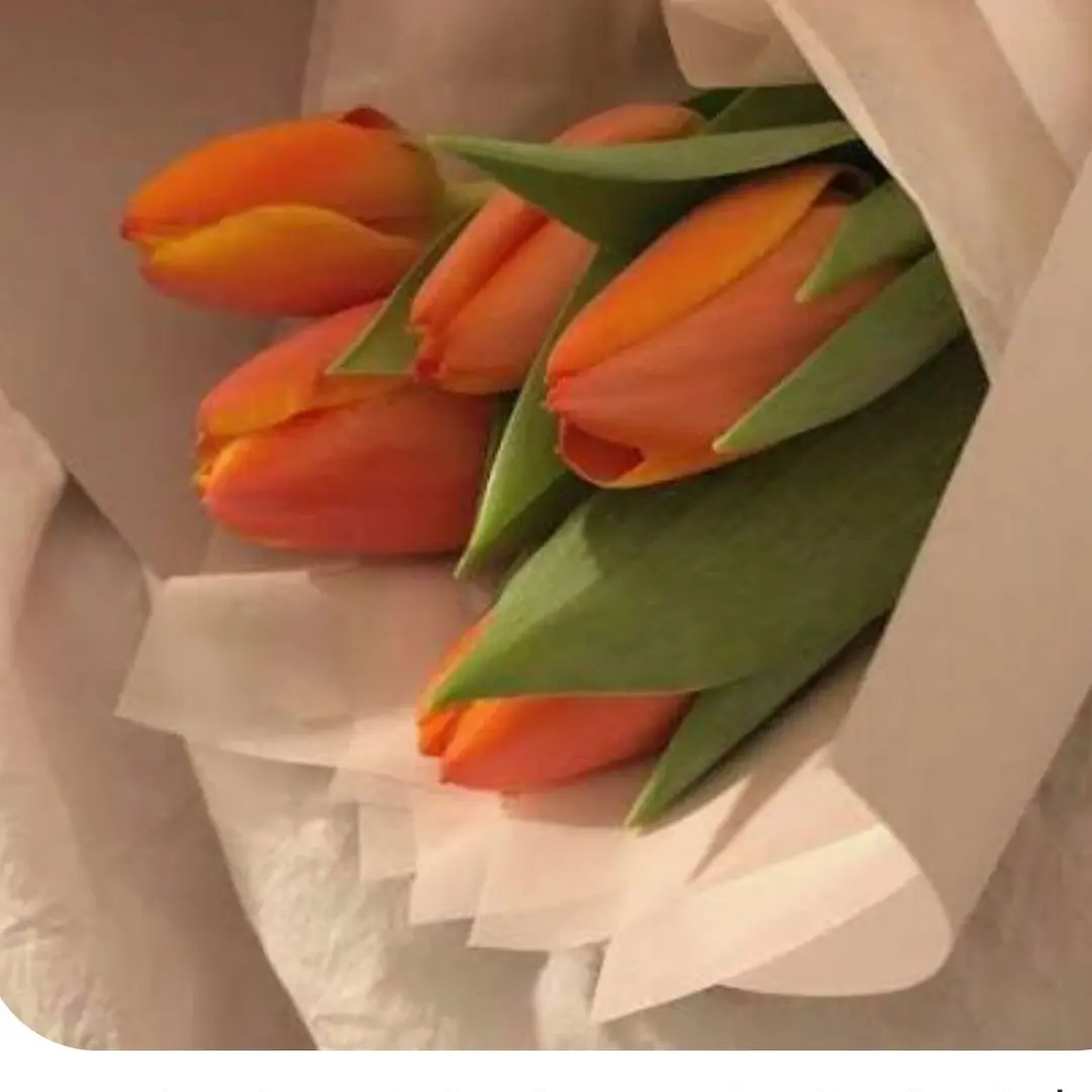 Eugyagya5018의 박덕개