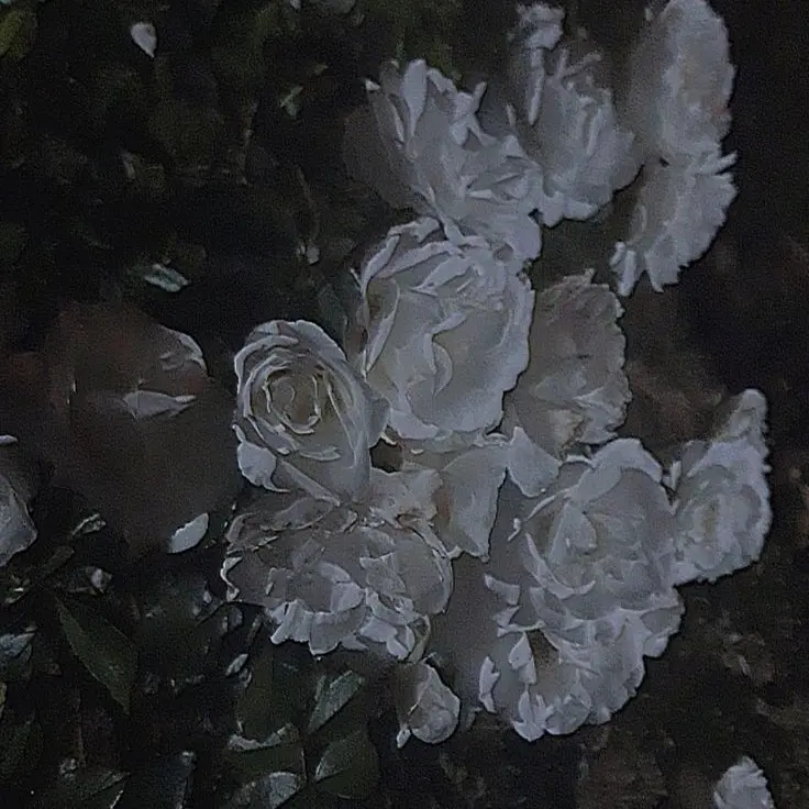 smile-의 0911