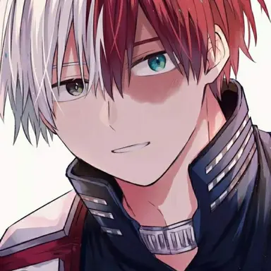 Profile image of Shoto Todoroki
