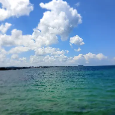 Profile image of 박경원