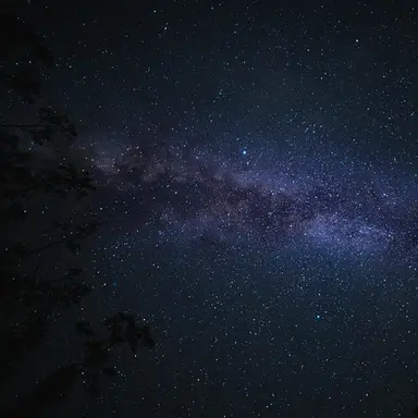 Profile image of 김독자