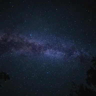 Profile image of 정희원