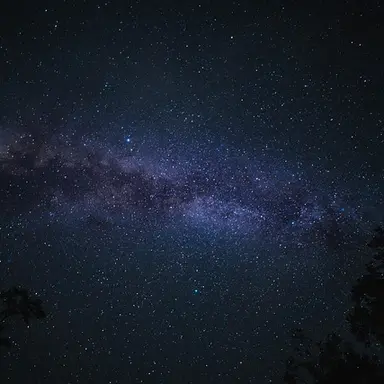 Profile image of 신유승