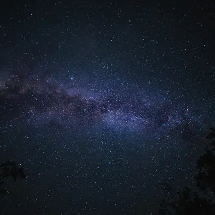 AAUQ9SQKH의 전독시