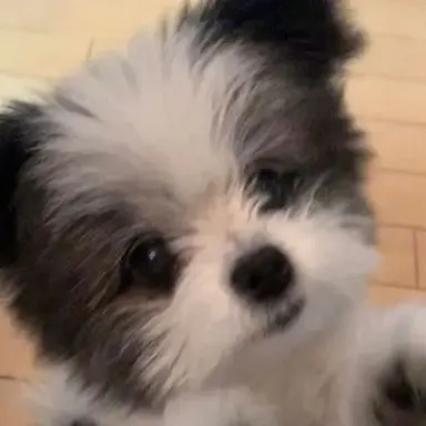 Profile image of 지훈
