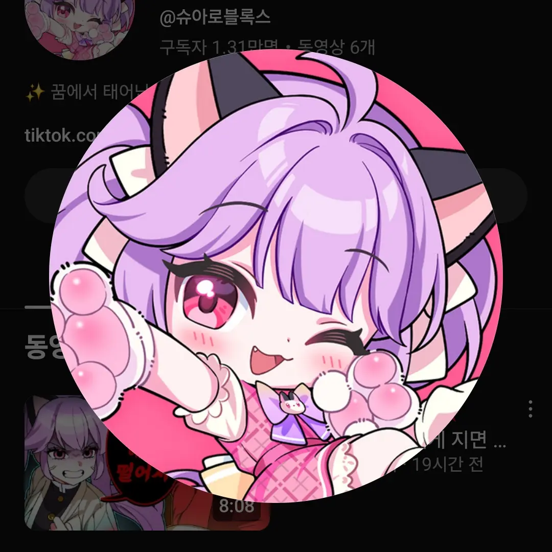 Hdhwi의 일진 슈아