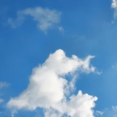 Profile image of 명호