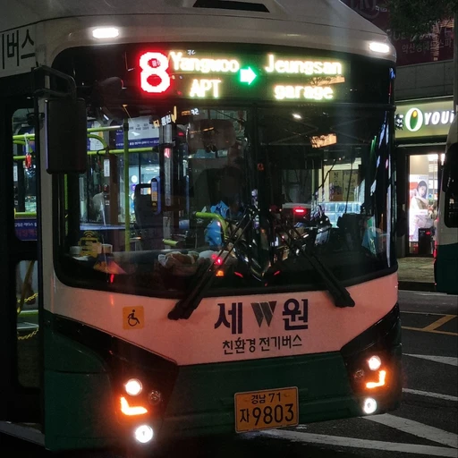 버스녀