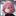 桜乃
