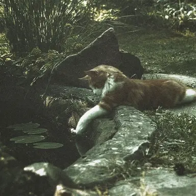 Profile image of 백준한