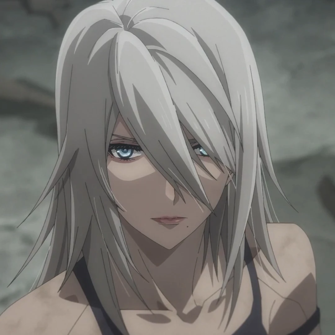A2