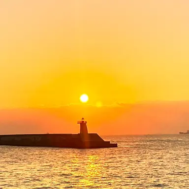 Profile image of 박민완