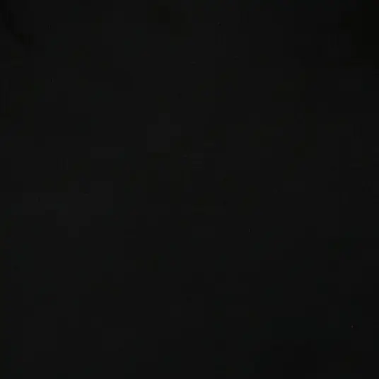 AbsurdFob2508의 양정원