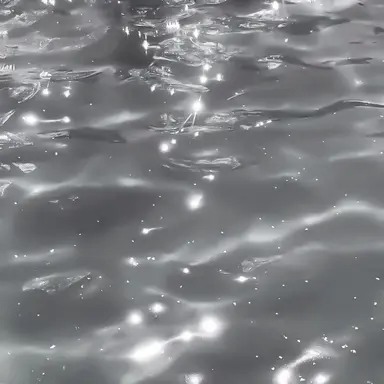 Profile image of 예서