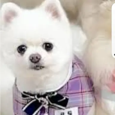 Profile image of 코팅