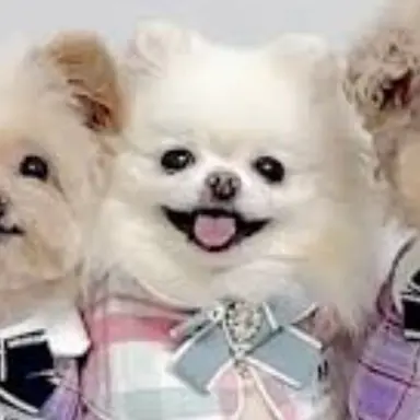 Profile image of 하쿵