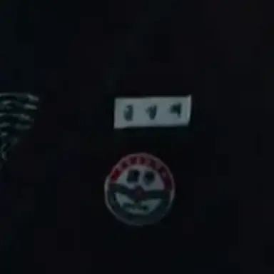 Profile image of 금성제