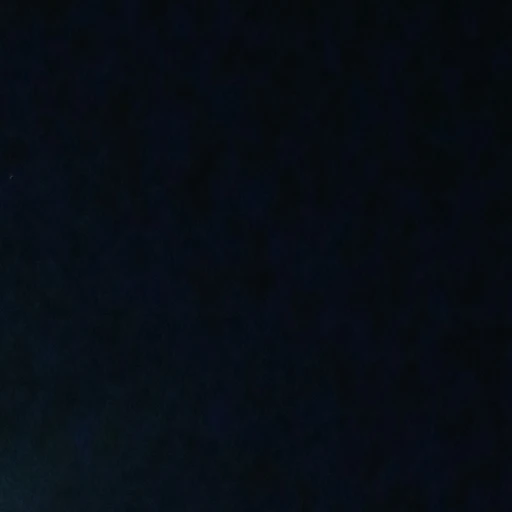 이하윤