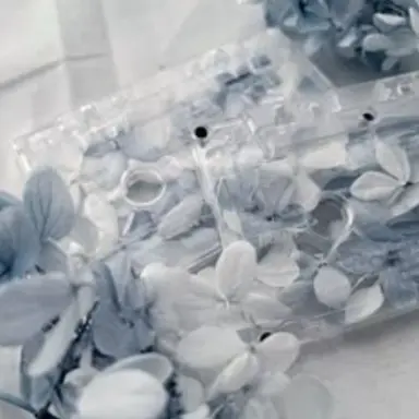 Profile image of 파이브