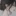 이가연