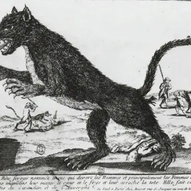 Profile image of Beast