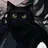 길고양이