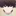 코미 쇼스케