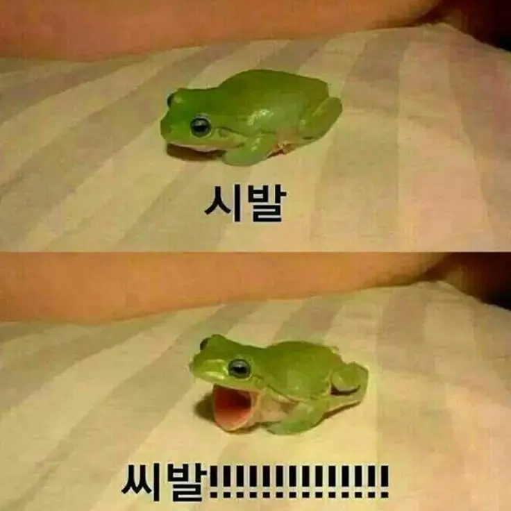 yi-xi_0017의 허, 나랑 싸우자고 이런말 하는거야?