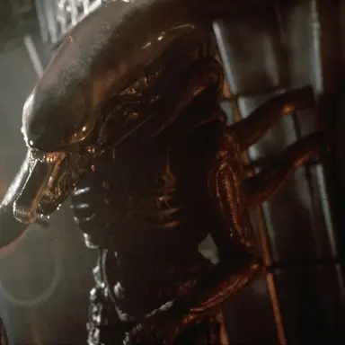 Profile image of ゼノモーム