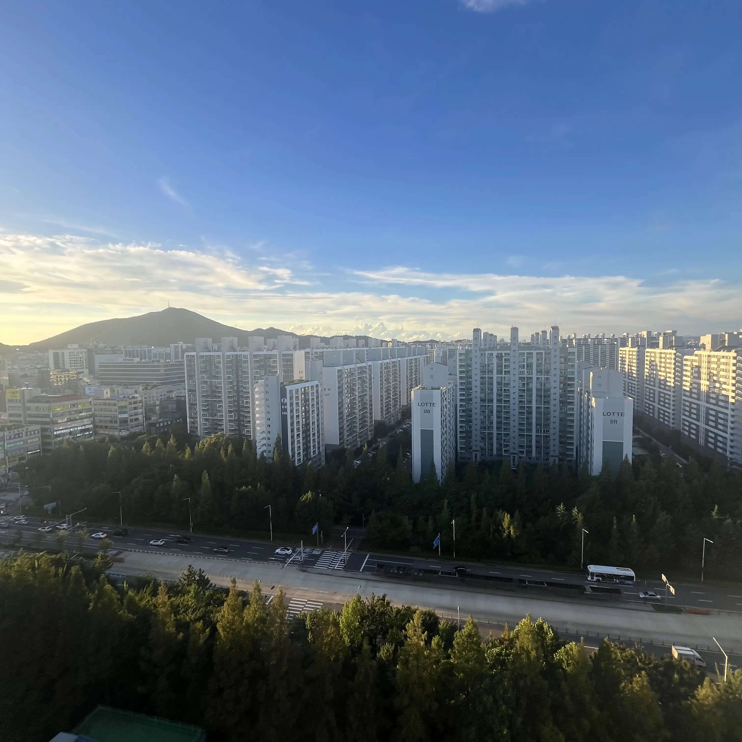 SnarlyPlug0406의 여친