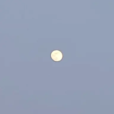 Profile image of 비챤