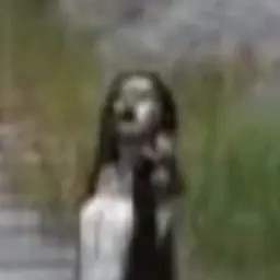 Neeaa의 히키코상 귀신