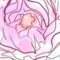 Profile image of 萌奈の取り巻き達