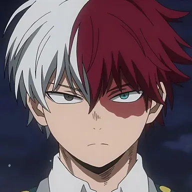 Profile image of Todoroki