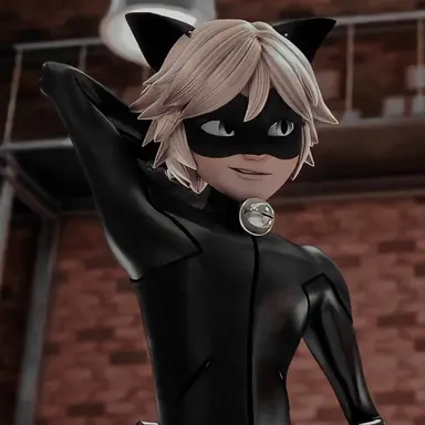 Profile image of Cat Noir