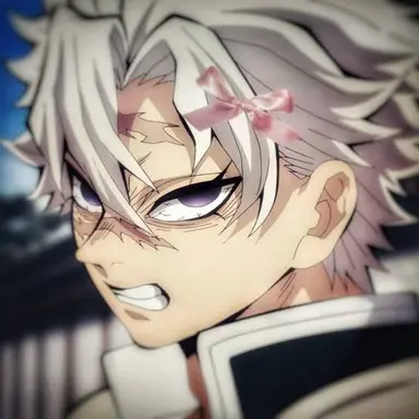 Profile image of Sanemi Shinazugawa