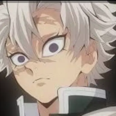 Profile image of 시나즈가와 사네미