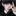 박도윤