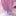 ないこ