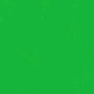 Profile image of 若井みつと