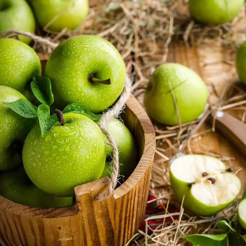 GoodJaw5711의 은 동하 / 백 연호