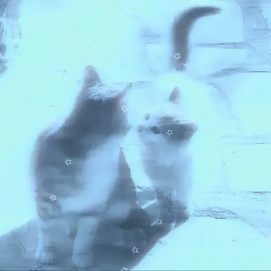Profile image of 카나에