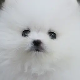 JEONJEON의 윤도운