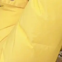 Profile image of 岩本照