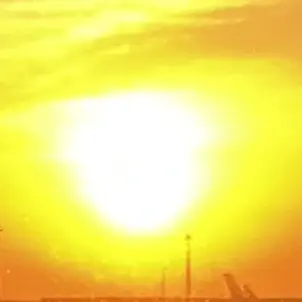 Profile image of 向井康二