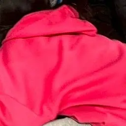 Profile image of 佐久間大介